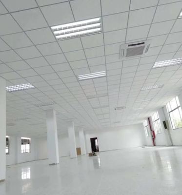 Αμεσές τιμές Πίνακας οροφής από ορυκτό μαλλί με βασικές διαστάσεις 300 X 600 X 9 13 mm