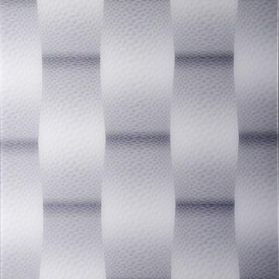 3D PVC σύνθετο τοίχωμα για τις επιλογές μεγέθους αίθουσας συνεδριάσεων και προσαρμόσιμα σχέδια