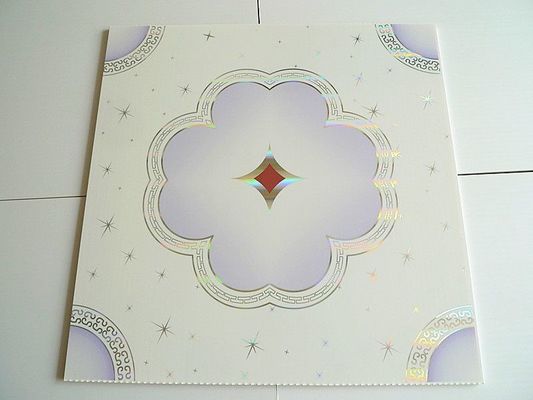 3D PVC σύνθετο χαρτί για τοίχους και οροφές διακοσμητικό μέγεθος Ect pd109 ανθεκτικό υλικό