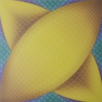 Πίνακας οροφής από σύνθετο PVC PD40 500mmx500mm για διακόσμηση σε κτίρια