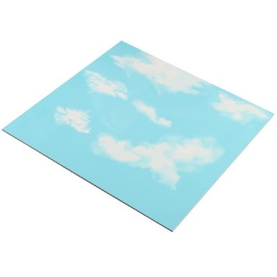 PD163 PVC πλαστικό εσωτερικό 3D board για διακόσμηση τοίχων / οροφών Μέγεθος 500*500*3.0mm