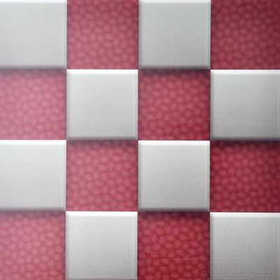Προσαρμοσμένο ανθεκτικό σε νερό πλαστικό τρισδιάστατο τοίχωμα για εσωτερική διακόσμηση Μέγεθος 460mm * 460mm