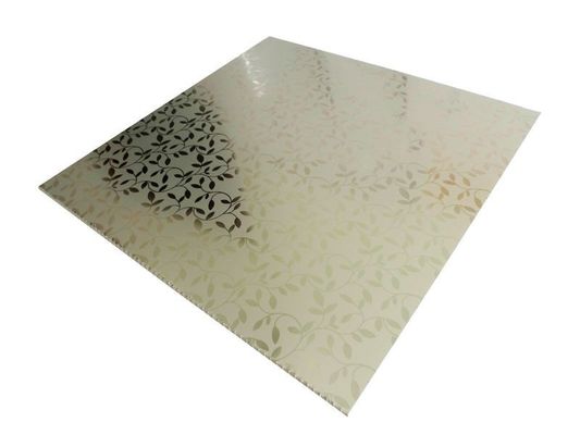 Αδιάβροχο Προσαρμοσμένο 3D Πίνακα PVC για διακόσμηση οροφής ξενοδοχείων Προσαρμοσμένη χρήση ξενοδοχείων