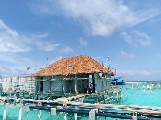 Ποτέ δεν ξεθωριάζουν Πρόληψη πυρκαγιάς Απλές κεραμίδια στέγης για την προσομοίωση του περιβάλλοντος Θόρυβος στέγης