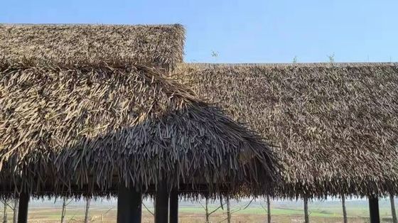 Εξωτερική διακόσμηση Κεραμίδας στέγης από άχυρο με χαρακτηριστικό να μην εξασθενεί ποτέ και μακρά διάρκεια ζωής