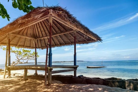 Προσαρμοσμένο τεχνητό συνθετικό περιβάλλον πλακάκια στέγης από άχυρο για υψηλή ευελιξία