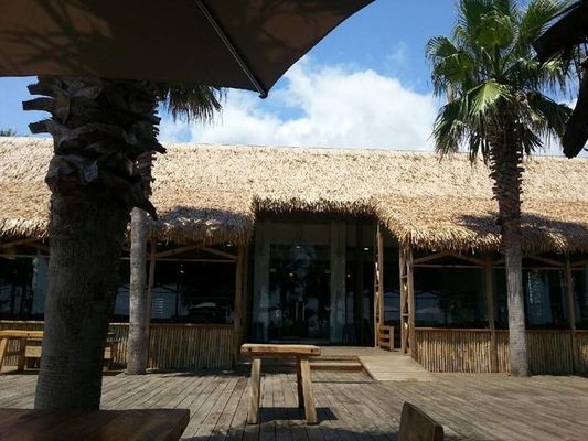 Ανερόστεγη εξωτερική προσομοίωση στέγη από πλακάκια από γρασίδι με εξατομικευμένο υλικό PVC