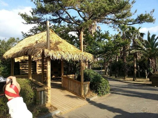 Προσαρμοσμένο Νότια Αφρική συνθετικό πλακάκι από καλαμάκι για διακόσμηση οροφής SGS Δοκιμάστηκε και εγκρίθηκε