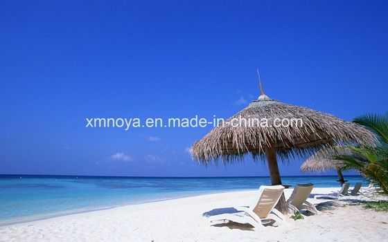 Προσαρμοσμένο υδατοασφαλές υλικό στέγης από καλαμάκι για παραλία συνθετικό και προσαρμοσμένο μέγεθος