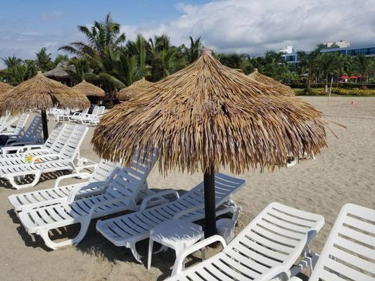 Προσαρμοσμένο Κατοικείο με Ψεύτικη Συνθετική Κάλυψη 45*50cm και 30*45cm