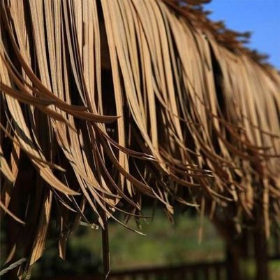 Αδιάβροχη συνθετική φοινικιά τεχνητό σιτάρι άχυρο καλαμάκι 45*50cm και 100*45cm