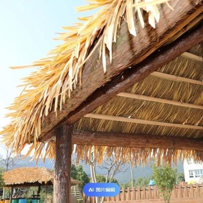 Πολυλειτουργικό φασόλι για οροφή Μέγεθος 60,00cm * 55,00cm * 10,00cm
