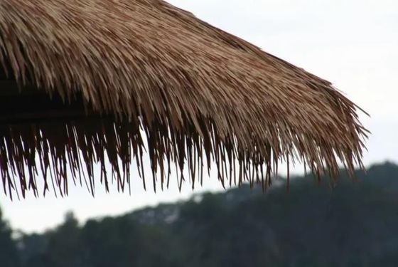 Πολυλειτουργικό φασόλι για οροφή Μέγεθος 60,00cm * 55,00cm * 10,00cm