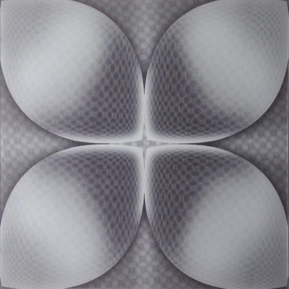 460mm*460mm Μέγεθος PD120 3D PVC Board/Panel για τοίχους και οροφές Διακοσμητικό Πολλά σχέδια